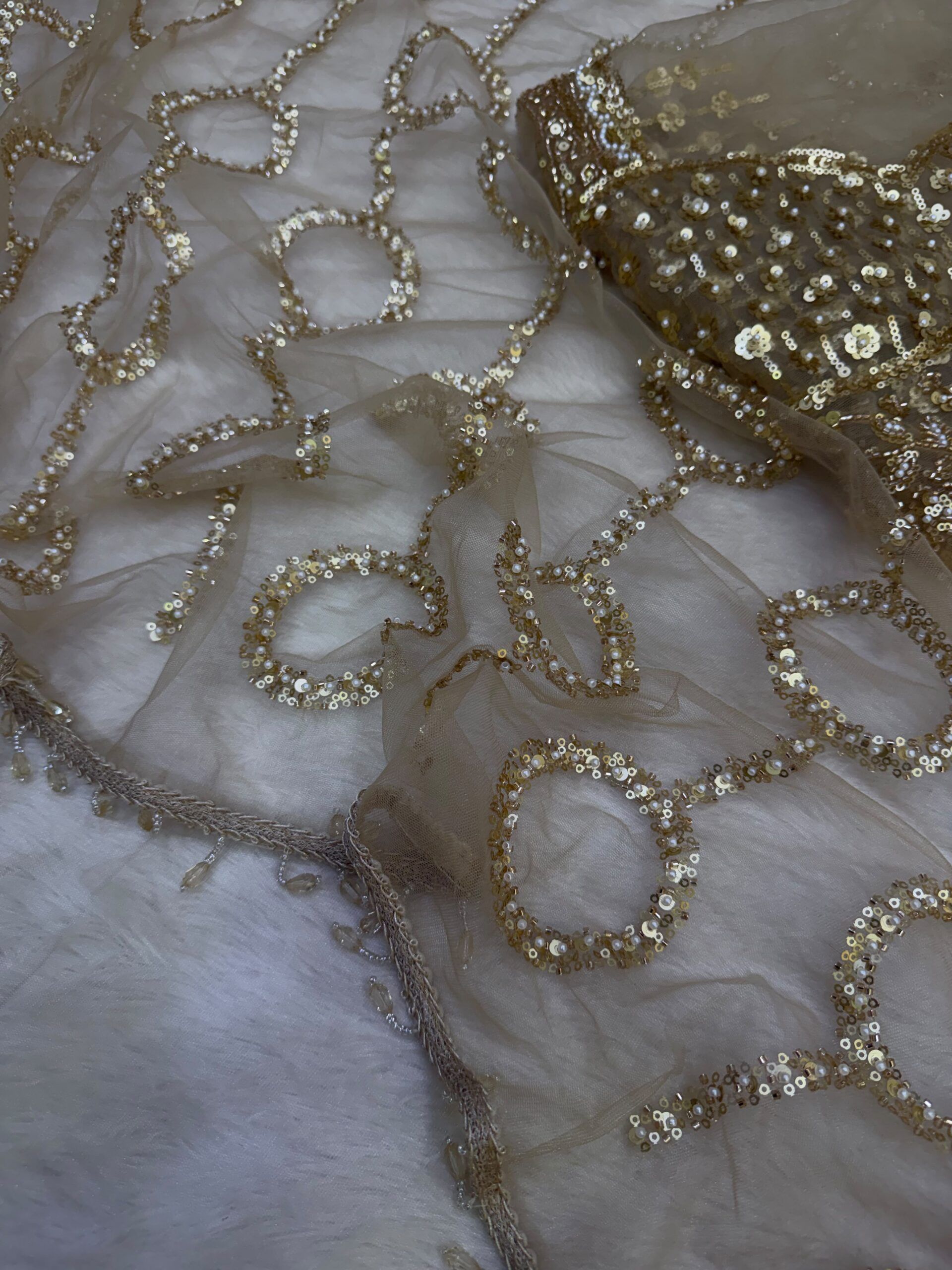 Beautiful Sequence Beads Embroidery Work Saree (5)