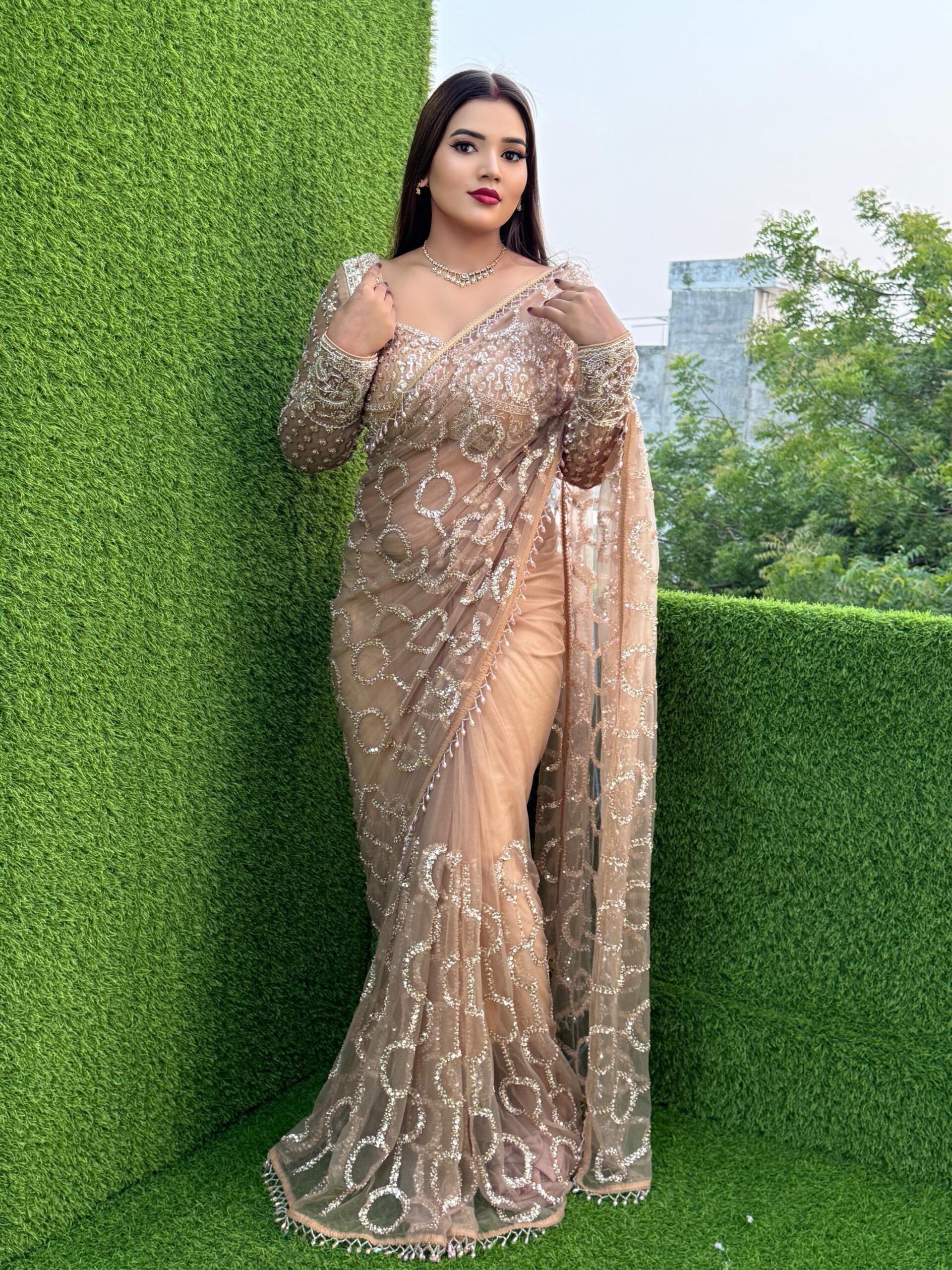 Beautiful Sequence Beads Embroidery Work Saree (9)