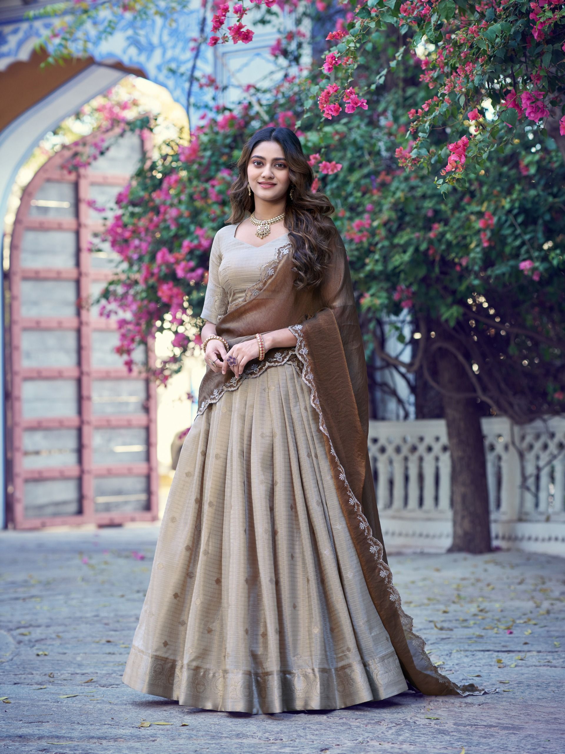 Traditional Zari Weaving Choli Wholesale Price (12)